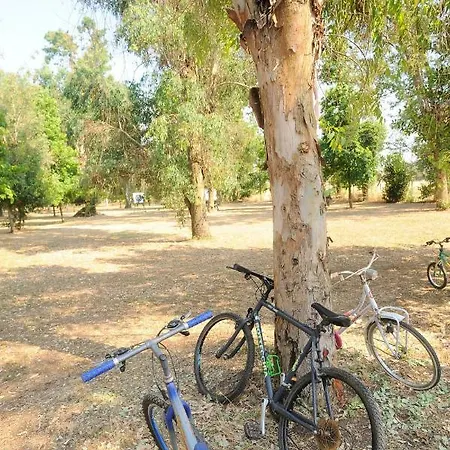 בית חווה La Giannottola *